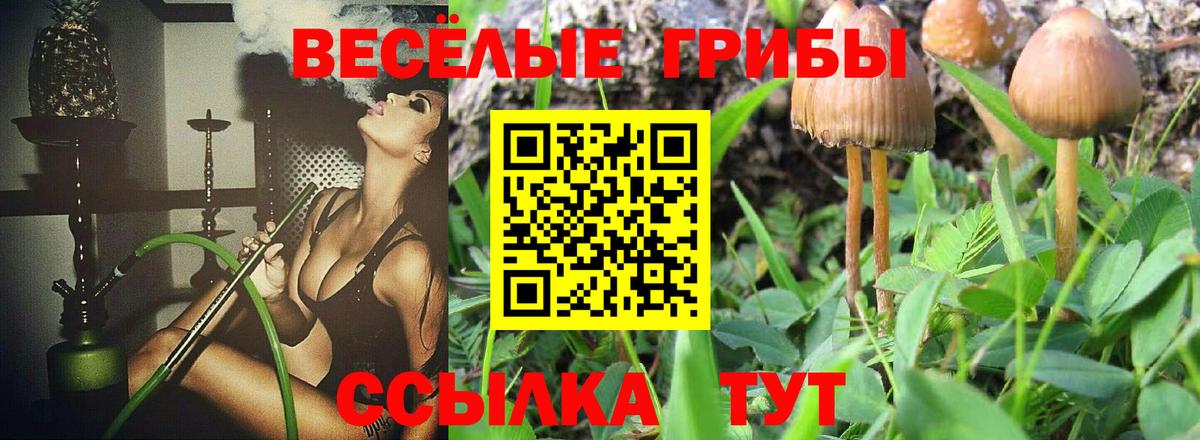 Галлюциногенные грибы GOLDEN TEACHER  Вход с VPN  Кириши 