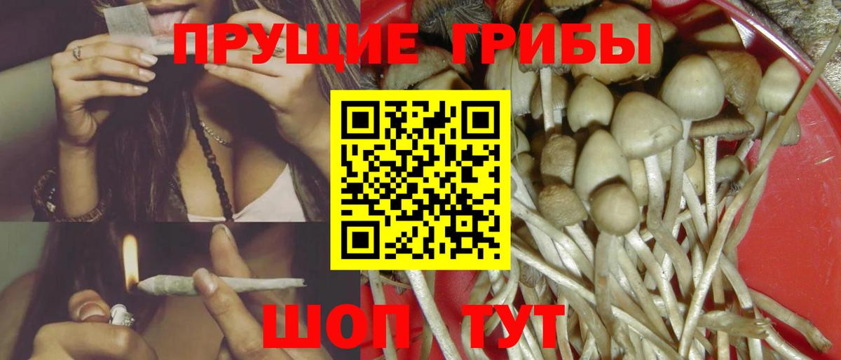 Галлюциногенные грибы Magic Shrooms Кириши
